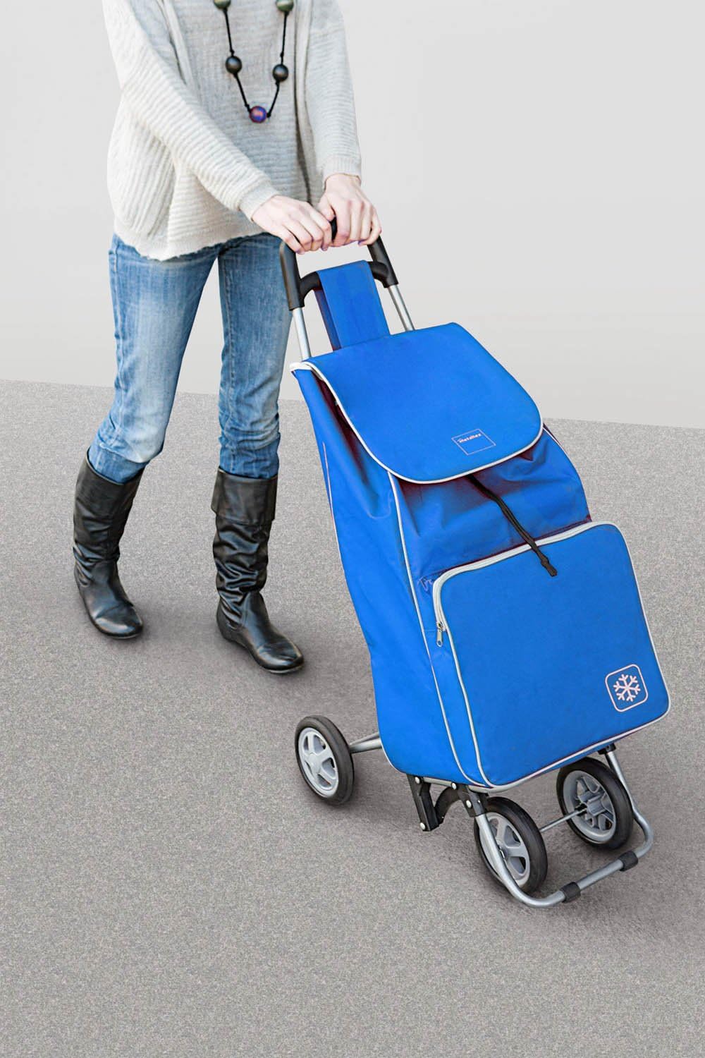 METALTEX CARRO COMPRA 4R. Bolsa FRIGO 'Aloe' Azul, Detailed in The Description, blau, 120x60x6 cm, B