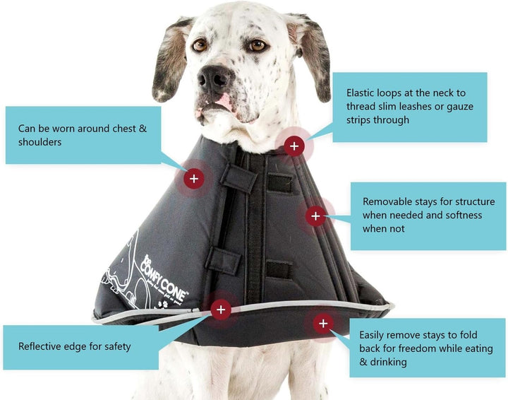 All Four Paws „The Comfy Cone“ Halskrause für Haustiere, Large