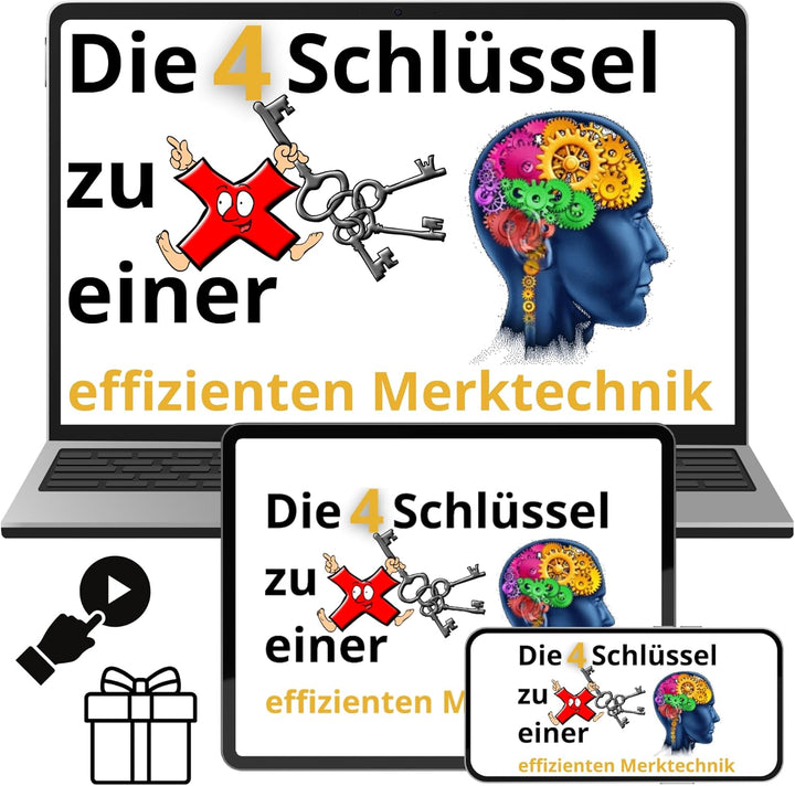 Multimalin Das kleine Einmaleins (ONLINE + DVD), ONLINE + DVD