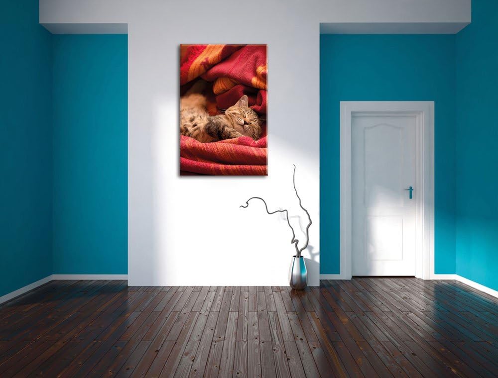 Pixxprint Babykatze, Format: 100x70 auf Leinwand, XXL riesige Bilder fertig gerahmt mit Keilrahmen,