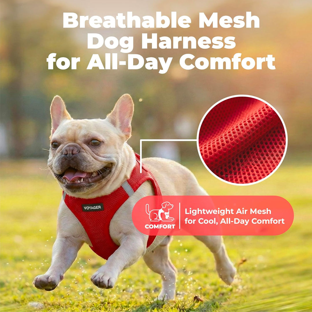 Best Pet Supplies Voyager Step-In Air-Hundegeschirr – Allwetter-Mesh-Weste für kleine und mittelgros