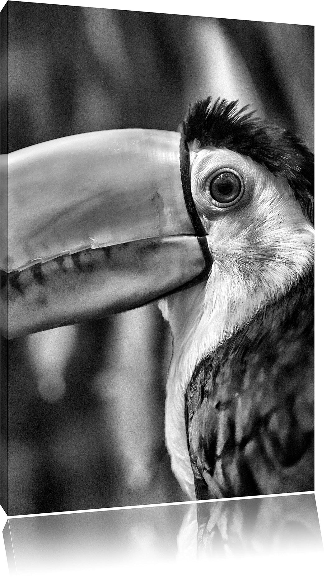 Monocrome, schöner Tukan, Format: 100x70 auf Leinwand, XXL riesige Bilder fertig gerahmt mit Keilrah