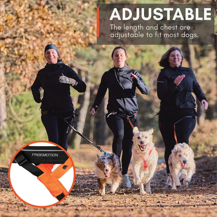 Non-Stop dogwear Freemotion Harness 5.0 | Hunde-Geschirr für alle Sportarten, Grösse:Grösse 8 schwar