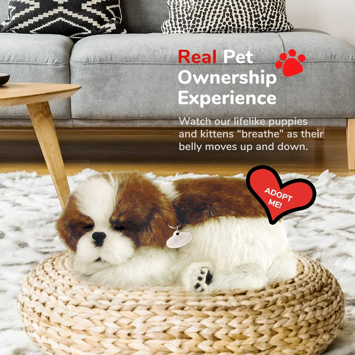 Perfect Petzzz 4924 – Plüsch – Hund Shih Tzu
