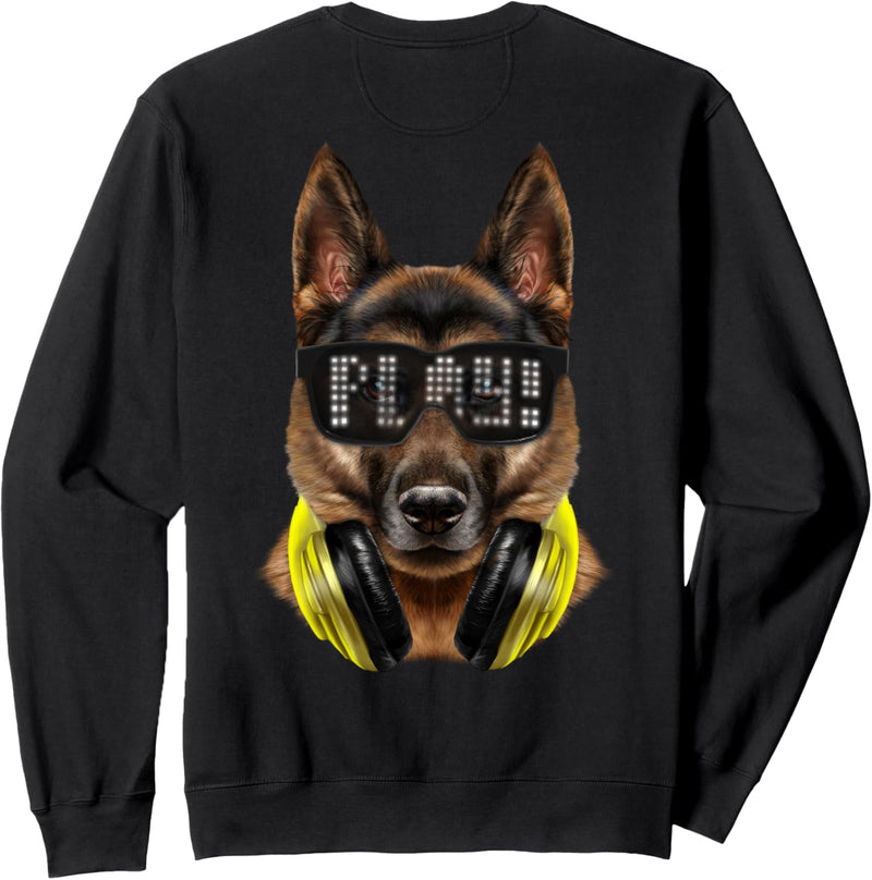 Hund, der Hipster-Sonnenbrille und Kopfhörer trägt Sweatshirt