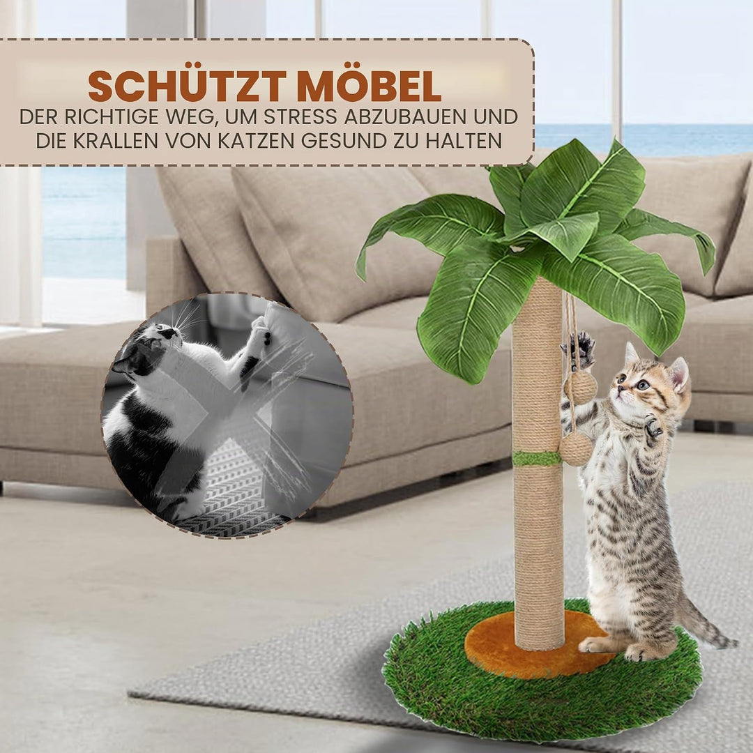 HOMYHANDS Kratzbaum für Indoor-Katzen und Kätzchen, 60 cm hoch, Katzenkratzbaum mit Sisalseil, Palme