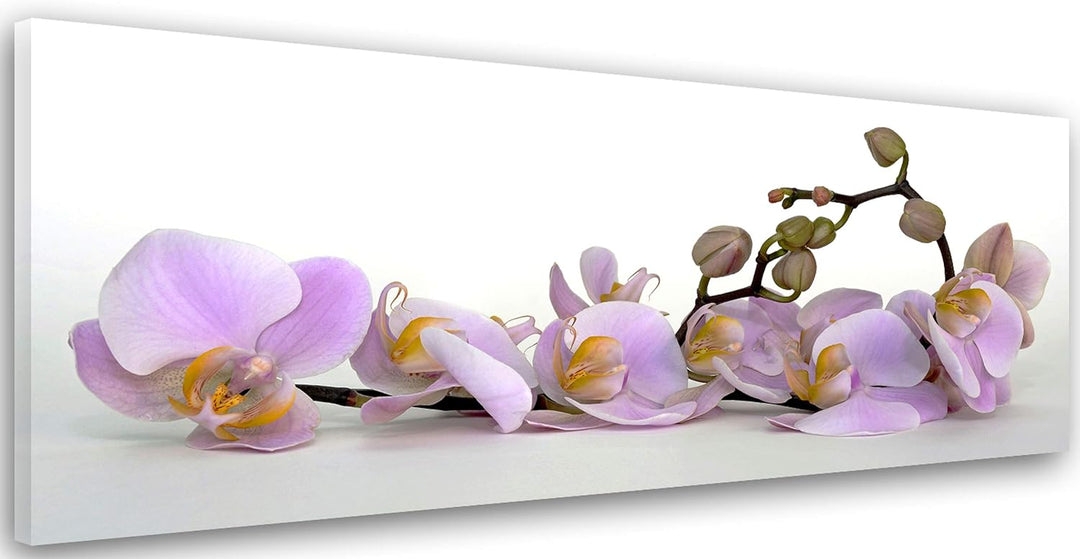 Feeby. Leinwandbild, Bilder, Wand Bild, Wandbilder, Kunstdruck 150x60 cm, ORCHIDEE, NATUR, VIOLETT