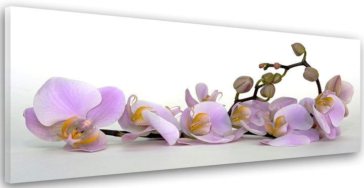 Feeby. Leinwandbild, Bilder, Wand Bild, Wandbilder, Kunstdruck 150x60 cm, ORCHIDEE, NATUR, VIOLETT