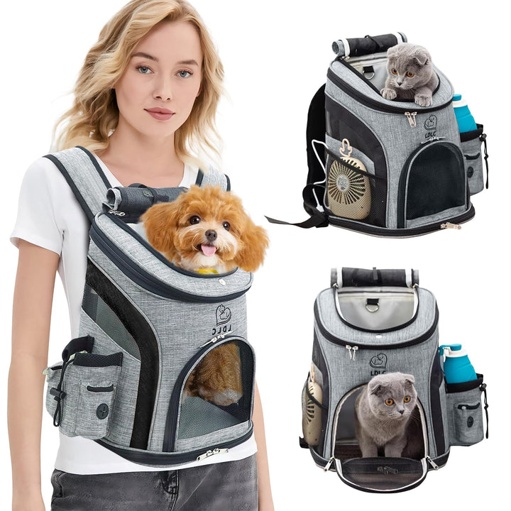 PETCUTE Hunderucksack Kleine Hunde,Atmungsaktiv Hundetragetasche mit Internem Sicherheitsgurt,Verste