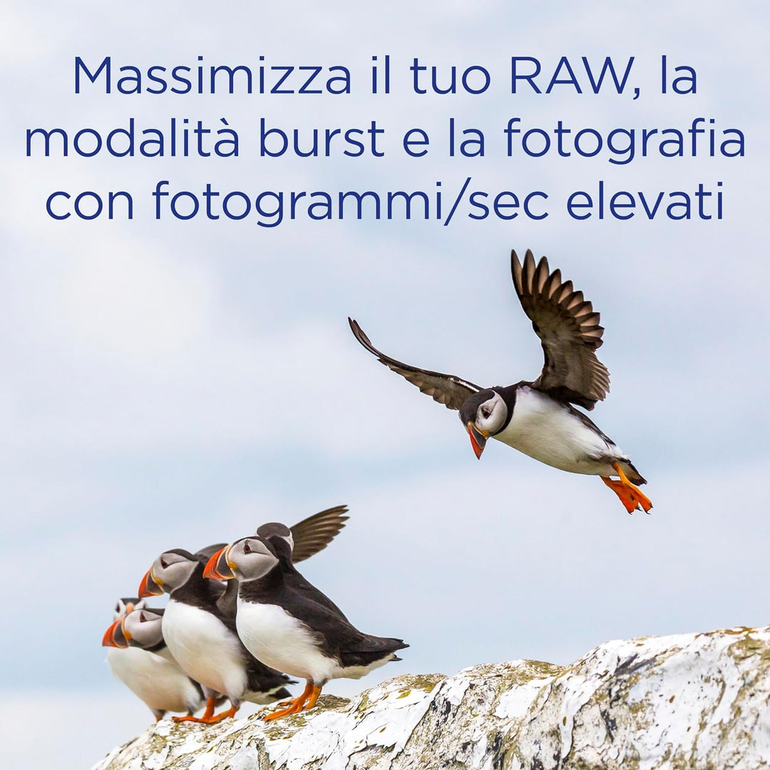 Integral Memory 64GB CFast Card 2.0 High Performance mit Einer Lesegeschwindigkeit von bis zu 550MB/