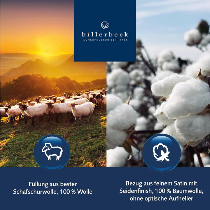 billerbeck Schurwoll Bettdecke | Meisterklasse | 200 x 200 cm | Naturdecke | Wärmestufe sommerleicht