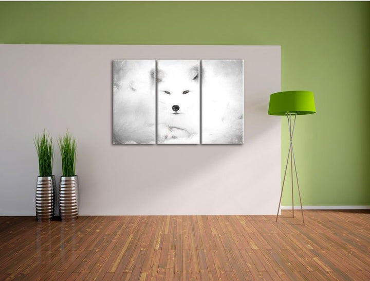 Pixxprint weisser Fuchs als Leinwandbild/Grösse: 3 Teilig (120x80) cm/Wandbild/Kunstdruck/fertig bes