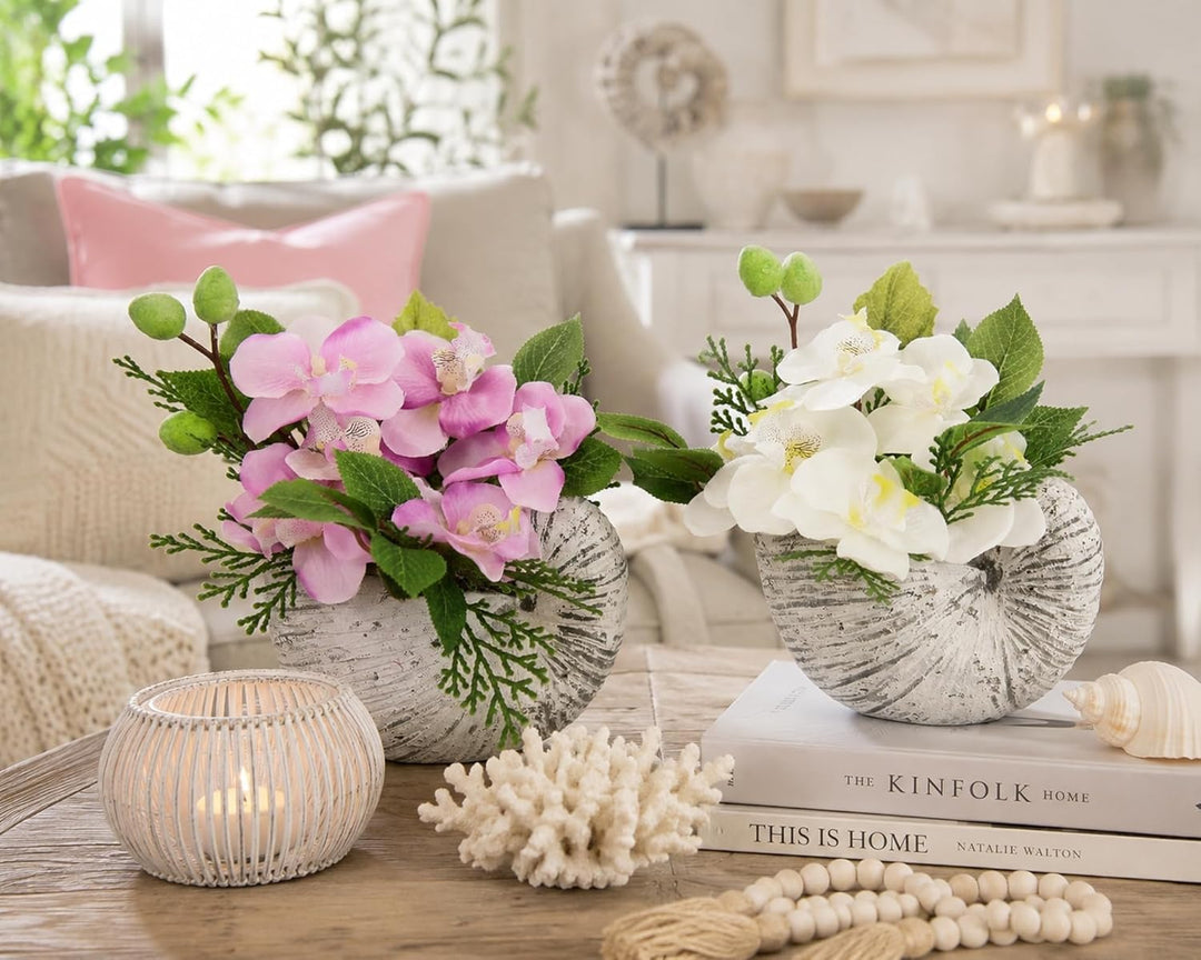 Flair Flower Künstliche Orchidee in Muschel Schale Künstliche Blume Phalaenopsis Kunstorchidee Rispe