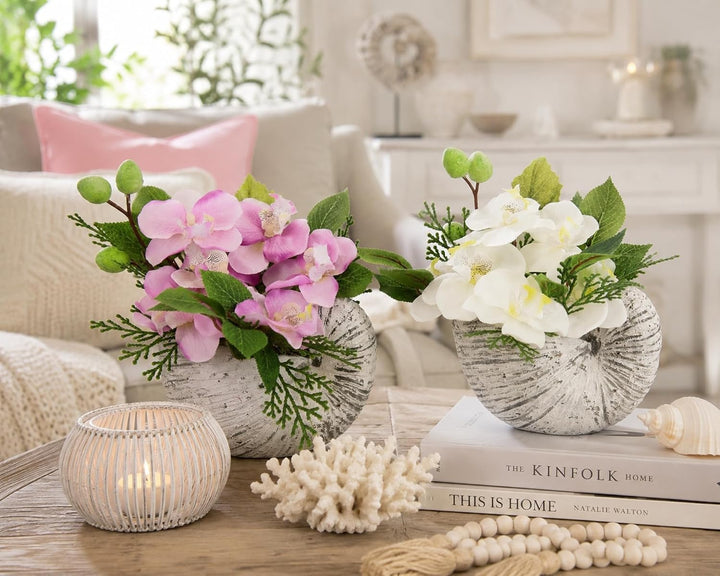 Flair Flower Künstliche Orchidee in Muschel Schale Künstliche Blume Phalaenopsis Kunstorchidee Rispe