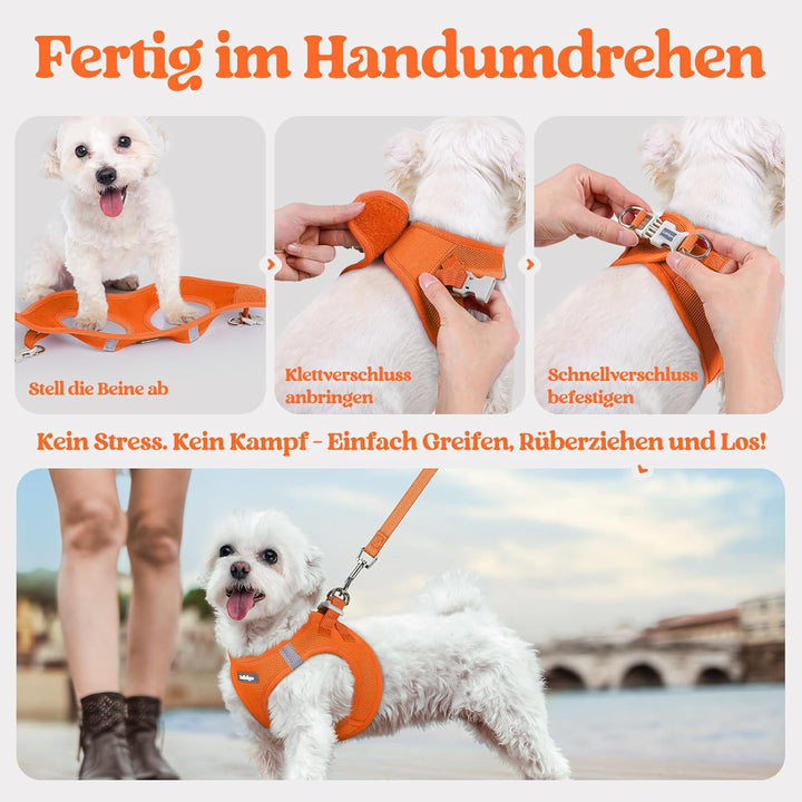 rabbitgoo Hundegeschirr Kleine Hunde mit Leine, Step-in Welpengeschirr Weich Mesh für Spaziergänge,