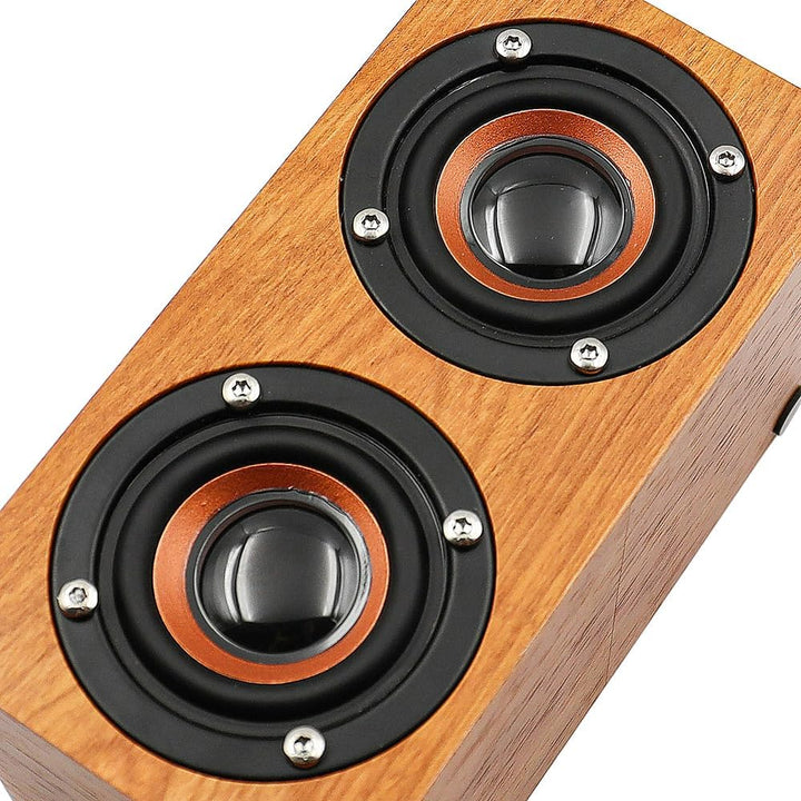H3 Karaoke-Maschine aus Holz, Mikrofon-Karaoke mit 2 kabellosen Mikrofonen Freund, Ehemann