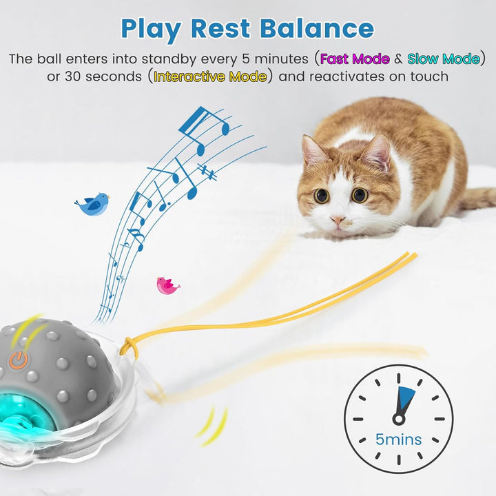 PETTOM Interaktives Katzenspielzeug Selbstbeschäftigung, Katzen Spielzeug Ball mit LED-Licht & 3 Mod