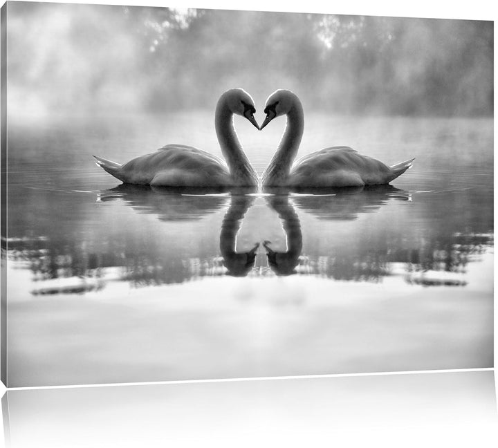 Pixxprint Monocrome, Verliebte weisse Schwäne im Morgengrauen, Format: 100x70 auf Leinwand, XXL ries