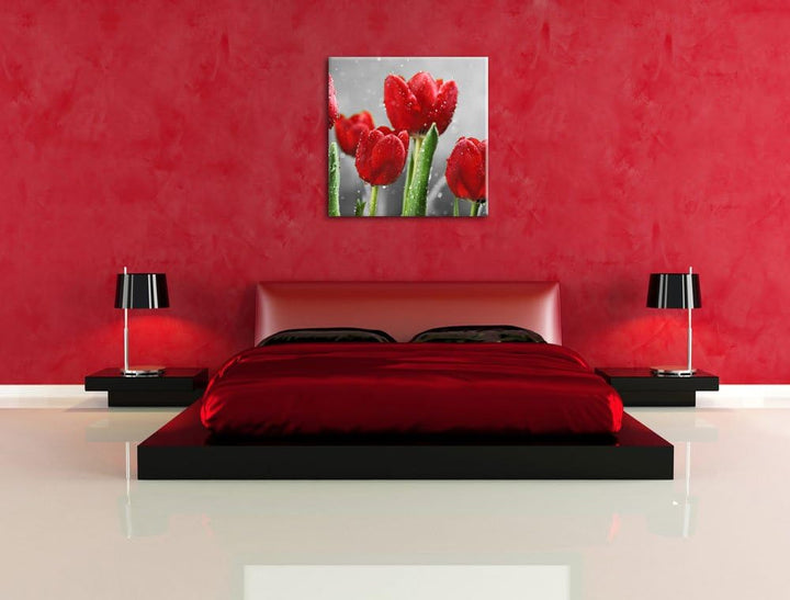 Pixxprint Rote Tulpen mit Tropfen bedeckt Schwarz/Weiss, Format: 70x70 auf Leinwand, 70x70