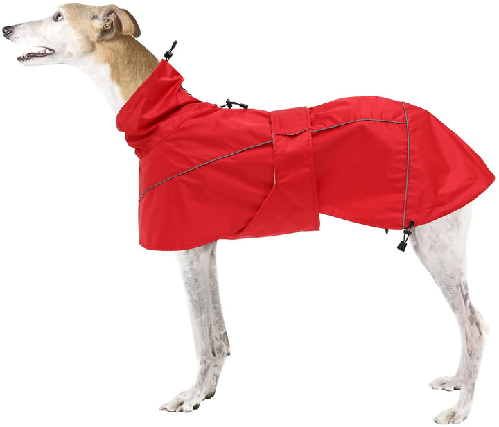MOREZI Windhund-Regenmantel, regenfest/wasserdicht, hoher Bund mit verstellbarem Kordelzug und Hüftg