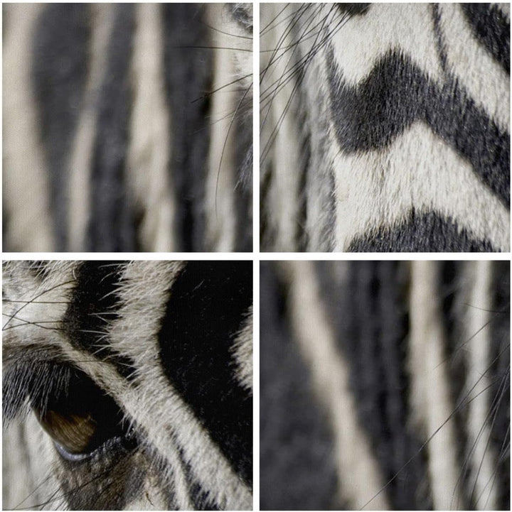 Wandbilder Dekoration Wohnzimmer Zebra Streifen Tierwelt Safari Panorama Bilder auf Leinwand 120x50c