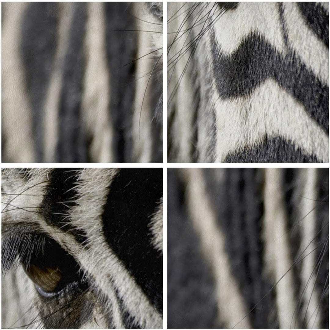 Panorama Bilder auf Leinwand 100x40cm Leinwandbild Zebra Streifen Tierwelt Safari Gross Wanddeko Bil