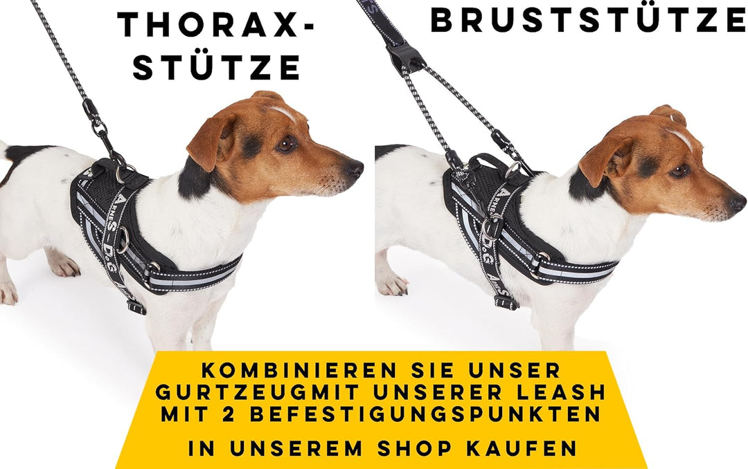 Hundegeschirr mit 3 Metallringankern zur Befestigung an Brust oder Brustkorb des Hundes, ohne den Ha