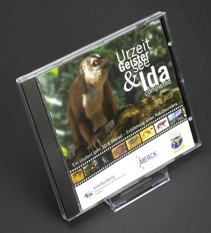 Schiebeständer/Tellerständer/Tellerhalter XXL - Ständer/Halter für Handy, CD, Bluray, Steelbox, Stee