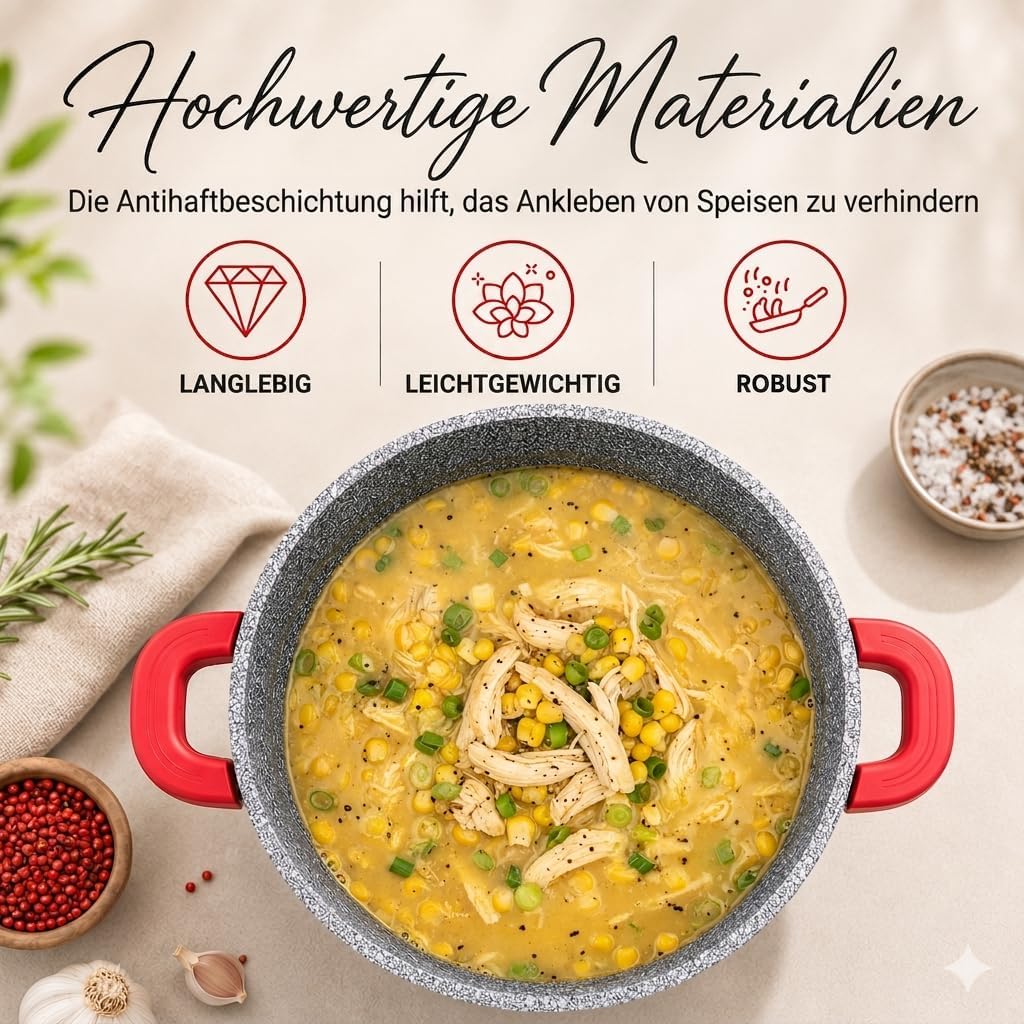 Royal Swiss® Suppentopf Ø24 cm – 6,2 L mit Glasdeckel – Edelstahl & Antihaftbeschichtung – Abnehmbar