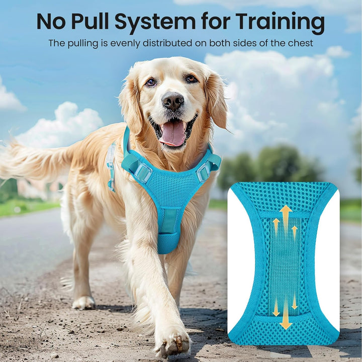 Light Up Dog Hundegeschirr Leuchtend LED Aufladbar - Leuchtgeschirr Leuchtend für Klein Mittelgrosse
