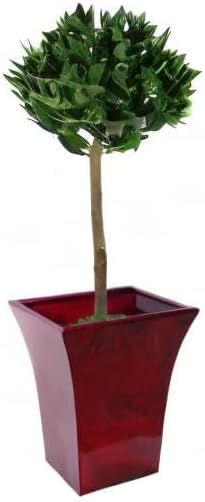 Leaf Künstliche Buchsbaumkugeln, Blattmotiv, 90 cm, 1 Paar, 90 cm