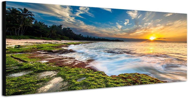 Paul Sinus Art Panoramabild auf Leinwand und Keilrahmen 150x50cm Meer Strand Moos Wald Sonnenunterga