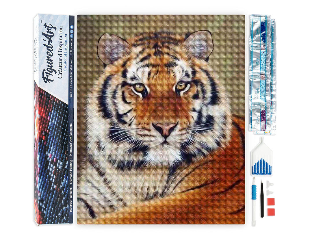 Figured'Art Diamond Painting Erwachsene 40x50cm Ganze Leinwand gerollt Tigerauge 5D Bilder Eckige St