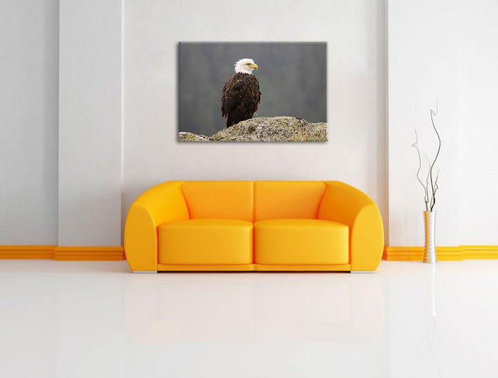 wachsamer Adler auf Fels Leinwand, XXL riesige Bilder fertig gerahmt mit Keilrahmen, Kunstdruck auf