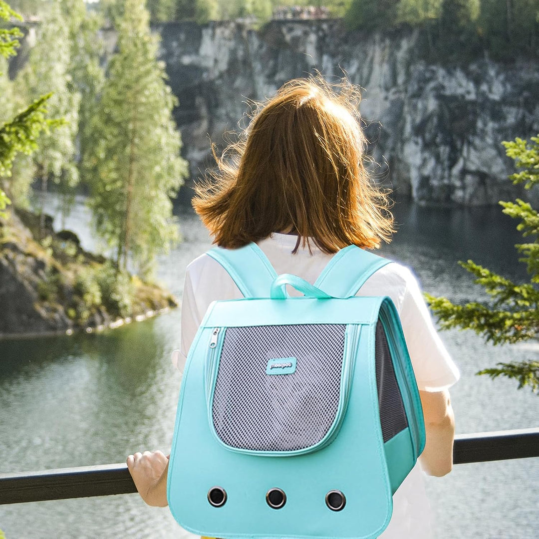 PETCUTE Haustier Rucksack,Faltbar Hunderucksack für Kleine Hunde und Katzen,Katzen Rucksack mit Hera