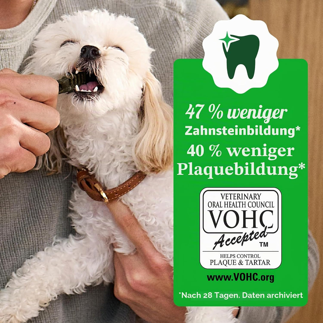 Greenies Original Hundesnacks für die Zähne 1 stück (65er Pack), 1 stück (65er Pack)