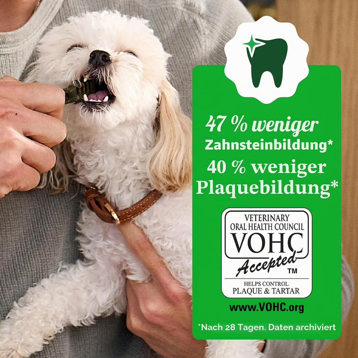 Greenies Original Hundesnacks für die Zähne 1 stück (65er Pack), 1 stück (65er Pack)