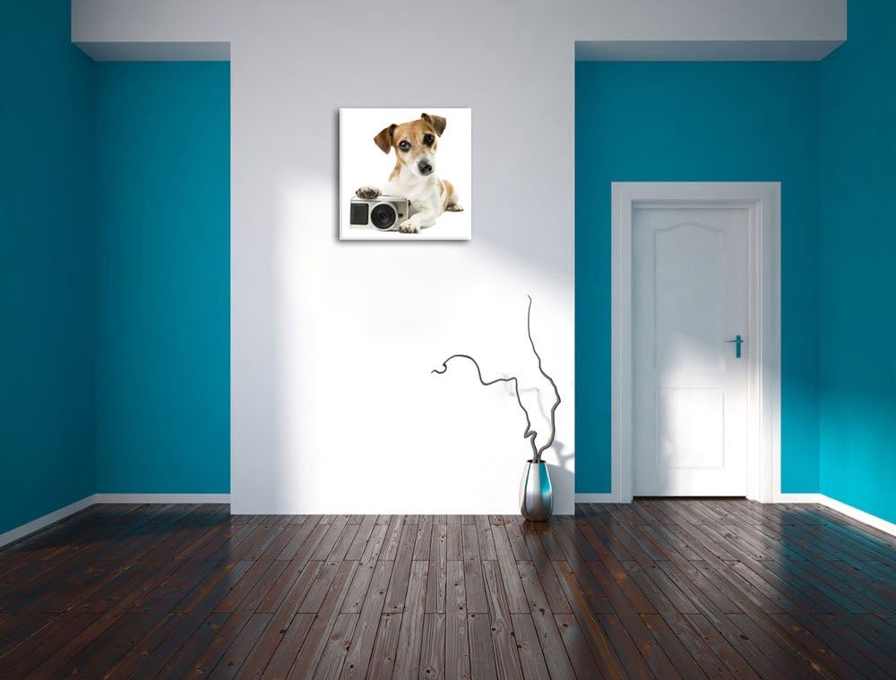 Pixxprint Niedlicher Hundewelpe mit Kamera als Leinwandbild/Grösse: 70x70 cm/Wandbild/Kunstdruck/fer