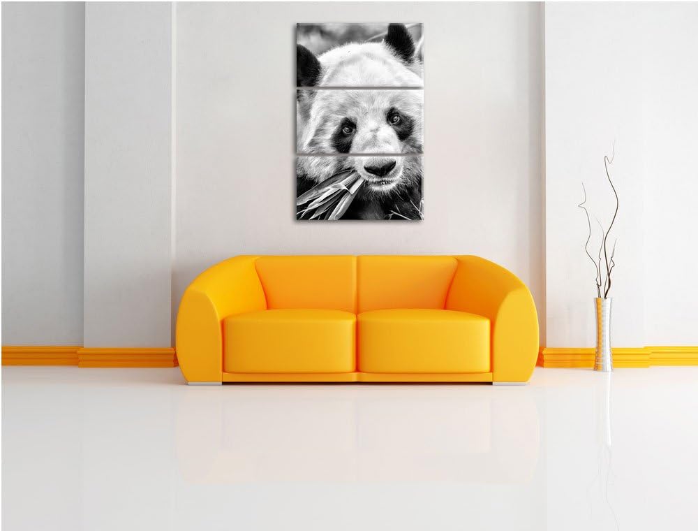 Pixxprint Pandabär frisst Bambus als Leinwandbild/Grösse: 3 Teilig (120x80) / Wandbild/Kunstdruck/fe
