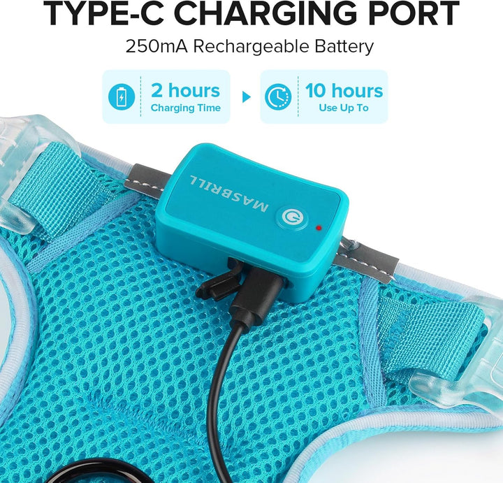 MASBRILL Hundegeschirr Leuchtend, LED Hundegeschirr Aufladbar & Einstellbar für Welpen Kleiner Mittl