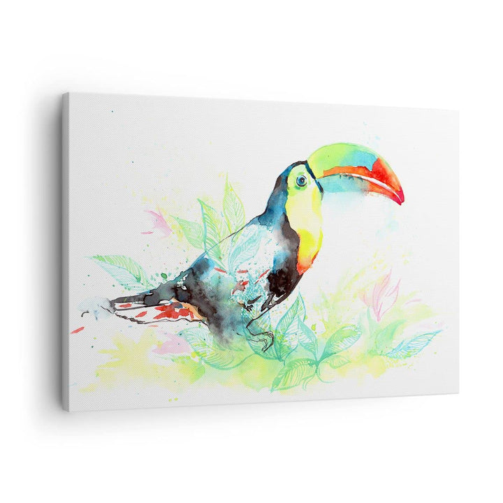 Bilder auf Leinwand Vogel Toucan Neugier wild Leinwandbild 70x50cm Wandbilder Dekoration Wohnzimmer