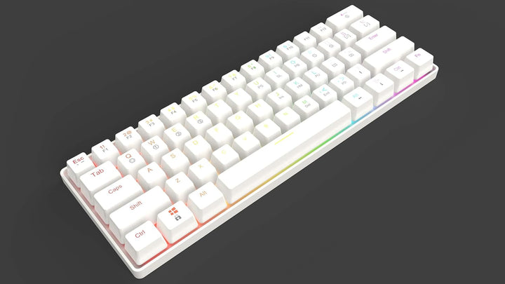 HK Gaming GK61 mechanische 60 Prozent Tastatur | 61 programmierbare Tasten mit RGB Beleuchtung | Kom