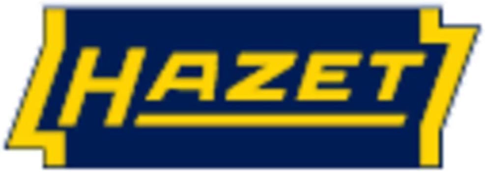 HAZET Hochleistungs- Saug- und Druckspritze 2162-4 | inkl. Metall-Auslauf, Füllmenge: 500 ml, für Kf