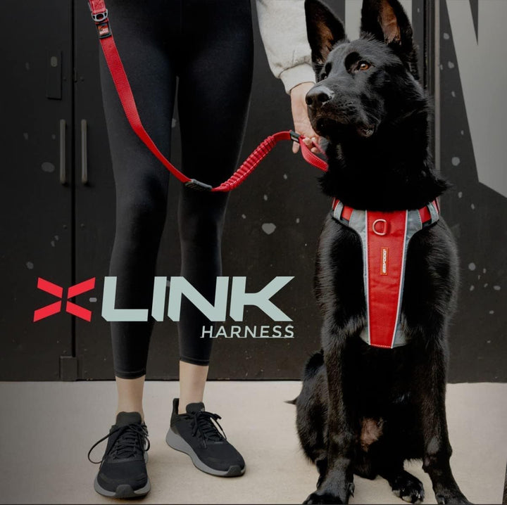 EzyDog No-Pull Hundegeschirr für Mittelgrosse und Grosse Hunde, X- Link Anti Zug Geschirr Hund Verst