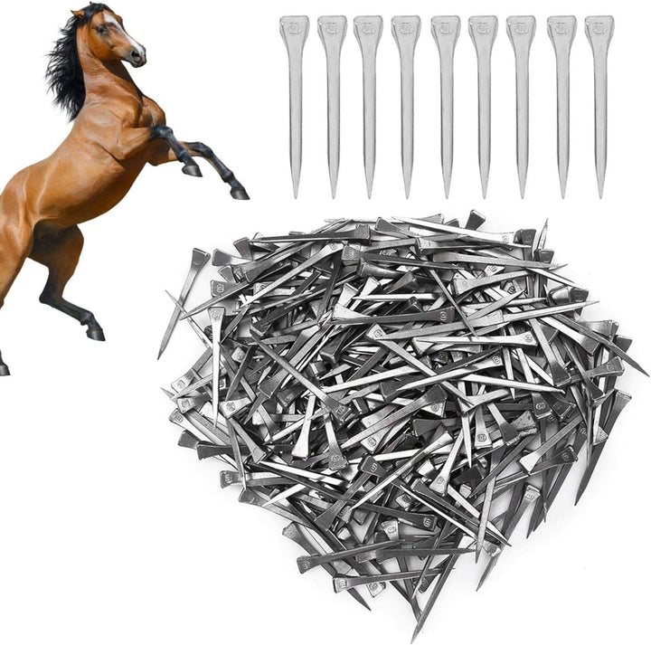 Cikonielf 250Pcs Hufeisen Nägel Stahl Huf Peg Hufeisen Zubehör Fest Hufeisen Nägel Pferd Werkzeug Zu