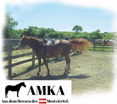 AMKA Western Sattelgurt Schnurengurt für Shetty Pony in 45, 51 oder 56 cm Länge 22, 22