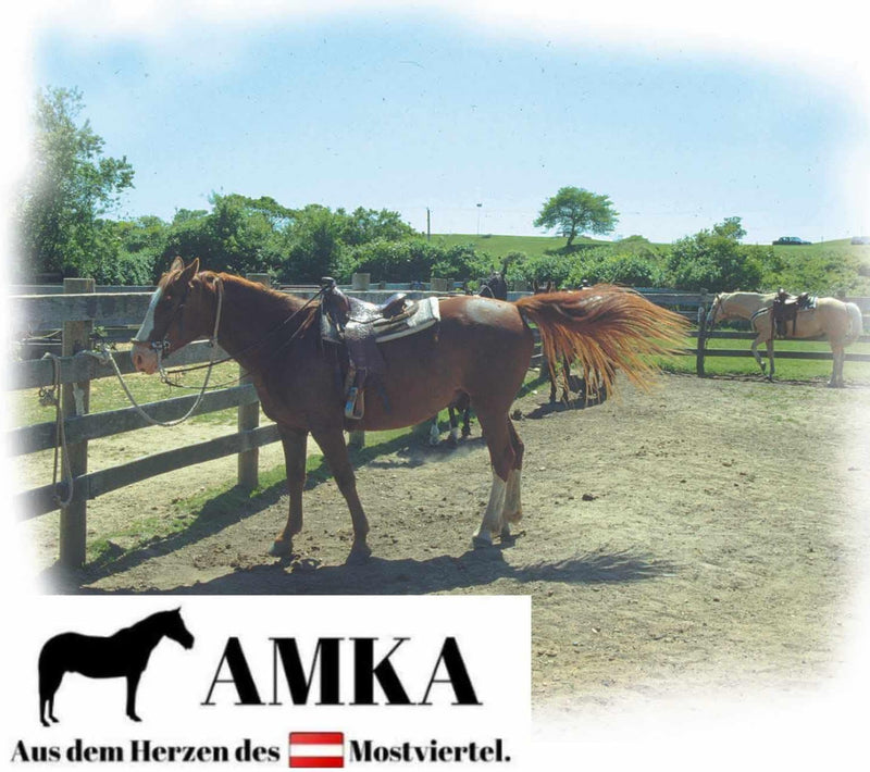 AMKA Western Sattelgurt Schnurengurt für Shetty Pony in 45, 51 oder 56 cm Länge 22, 22