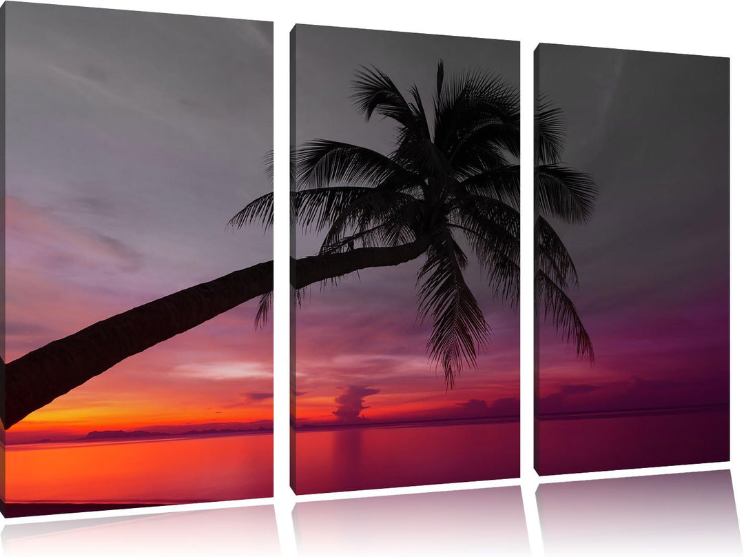Pixxprint Palme am Meer mit Sonnenuntergang als Leinwandbild/Grösse: 3 Teilig (120x80) cm/Wandbild/K