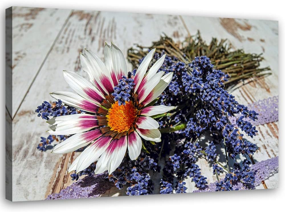 Feeby Bild auf Leinwand Blume Kunstdruck modern rustikal mehrfarbig 80x60 cm Leinwandbild 80x60 cm m