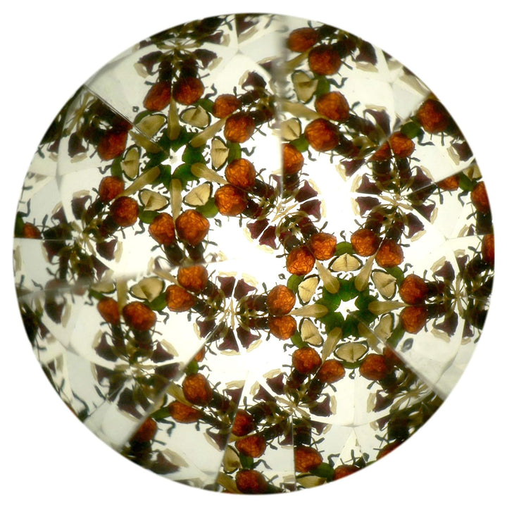 Kaleidoskop Konstruktor für Kinder, originales Design mit Blumen, natürliche Materialien, Spielzeug,